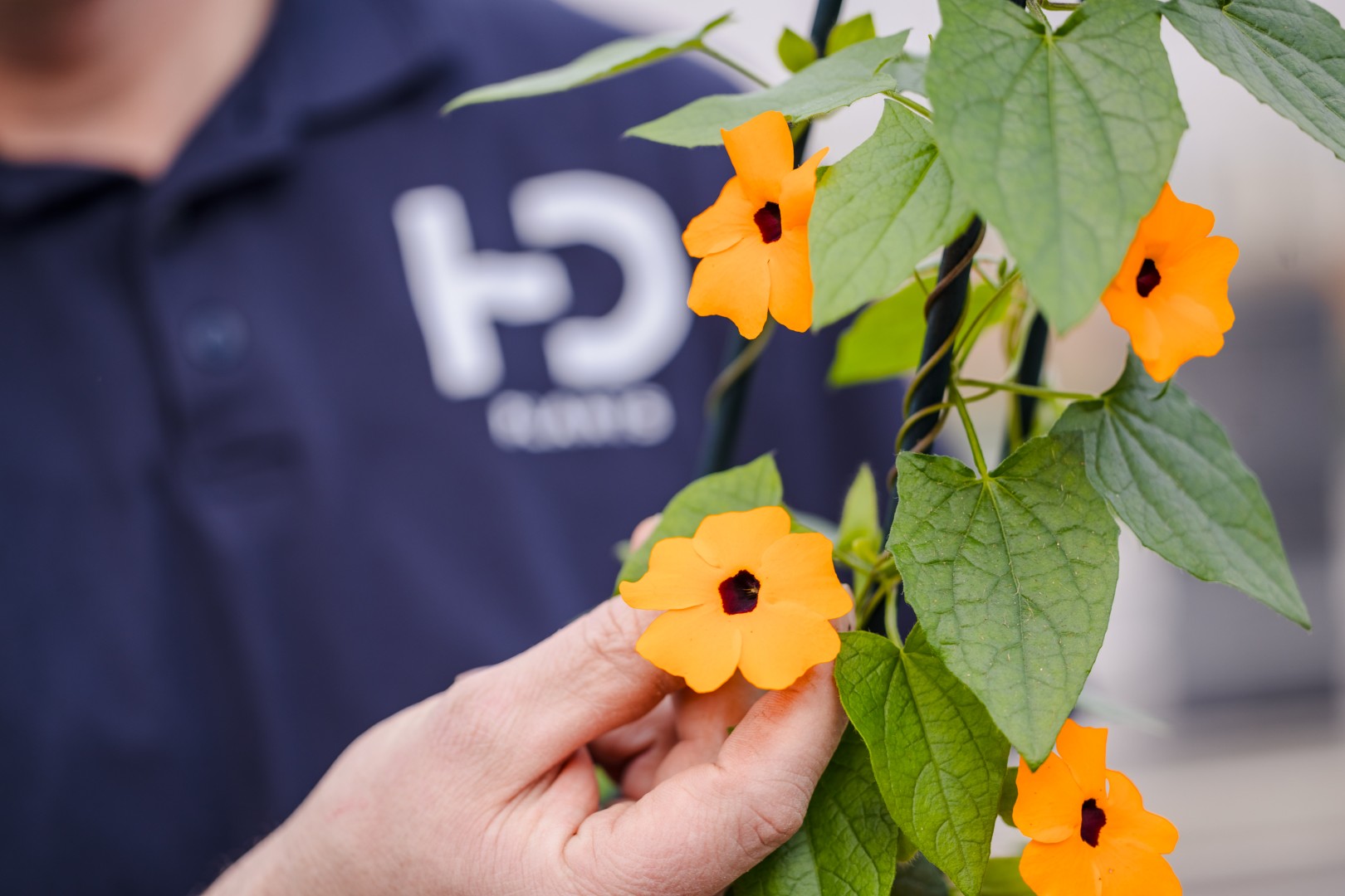 Vacature Verkoper Binnendienst